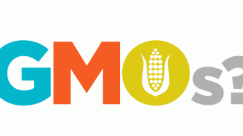 Farm Groups Denounce Dannon’s Anti-GMO ‘Marketing Flimflam’