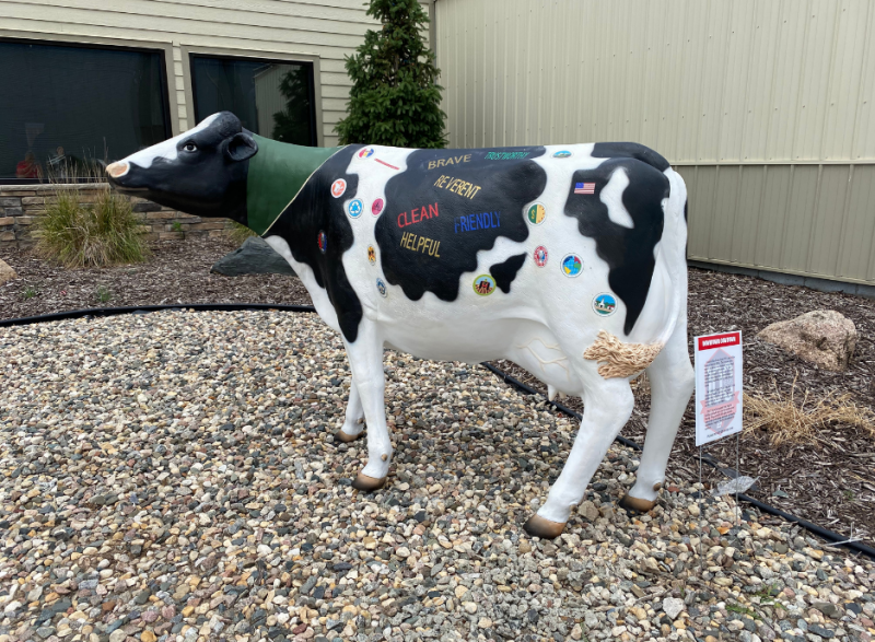 Small cows draw big attention at fair – Longmont Times-Call