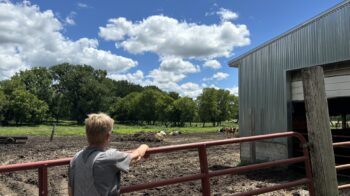 Farmer Owner Spotlight: Deb Heuer