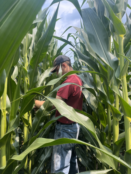Austin uses regenerative ag practices on his farm to take better care of the land and cut costs. 